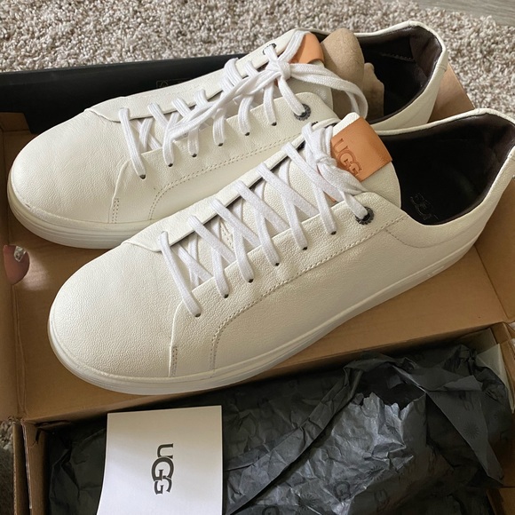 ugg men's cali lace low sneaker